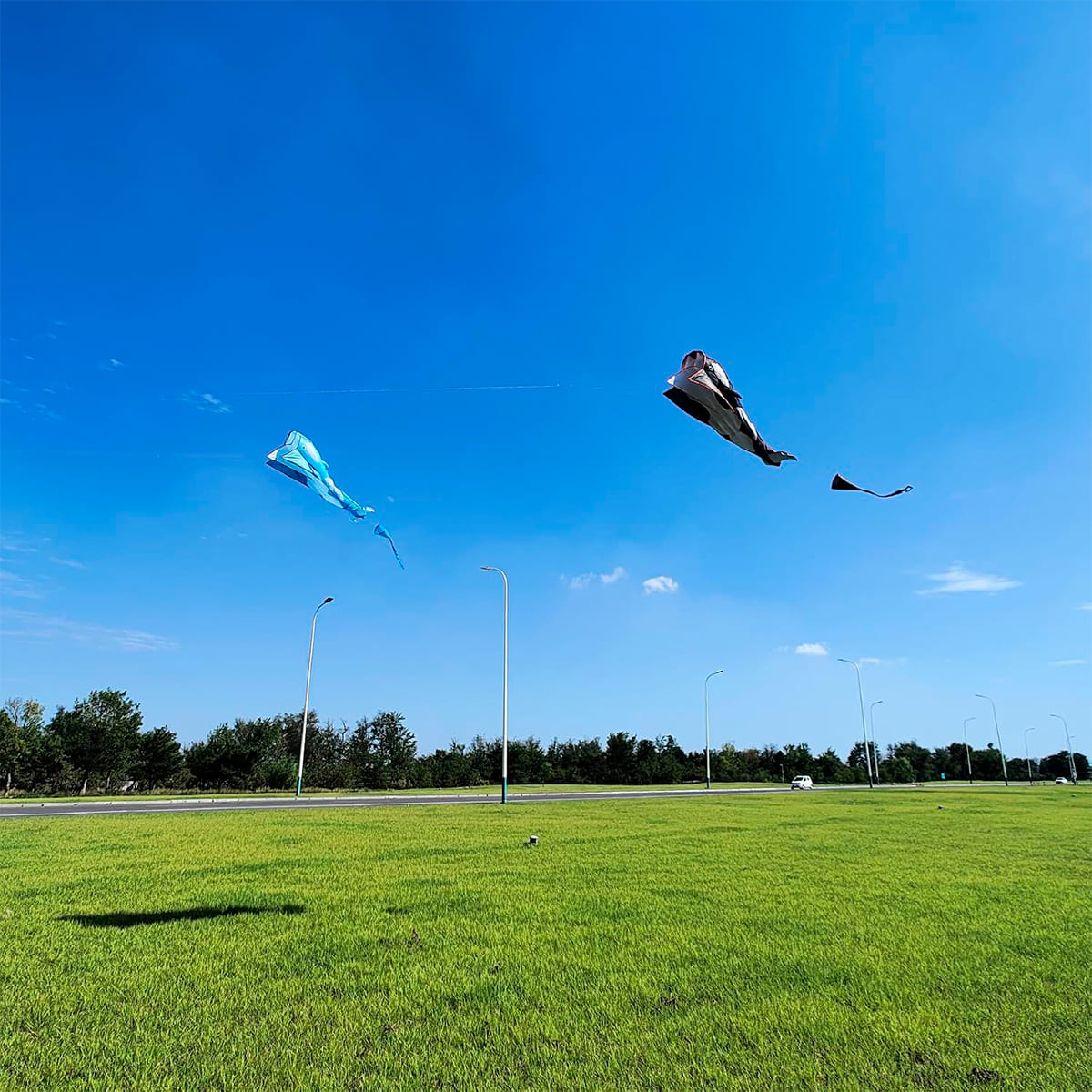 Miniatura 2 de Cometa Ballena 3D Gigante COM-2-3